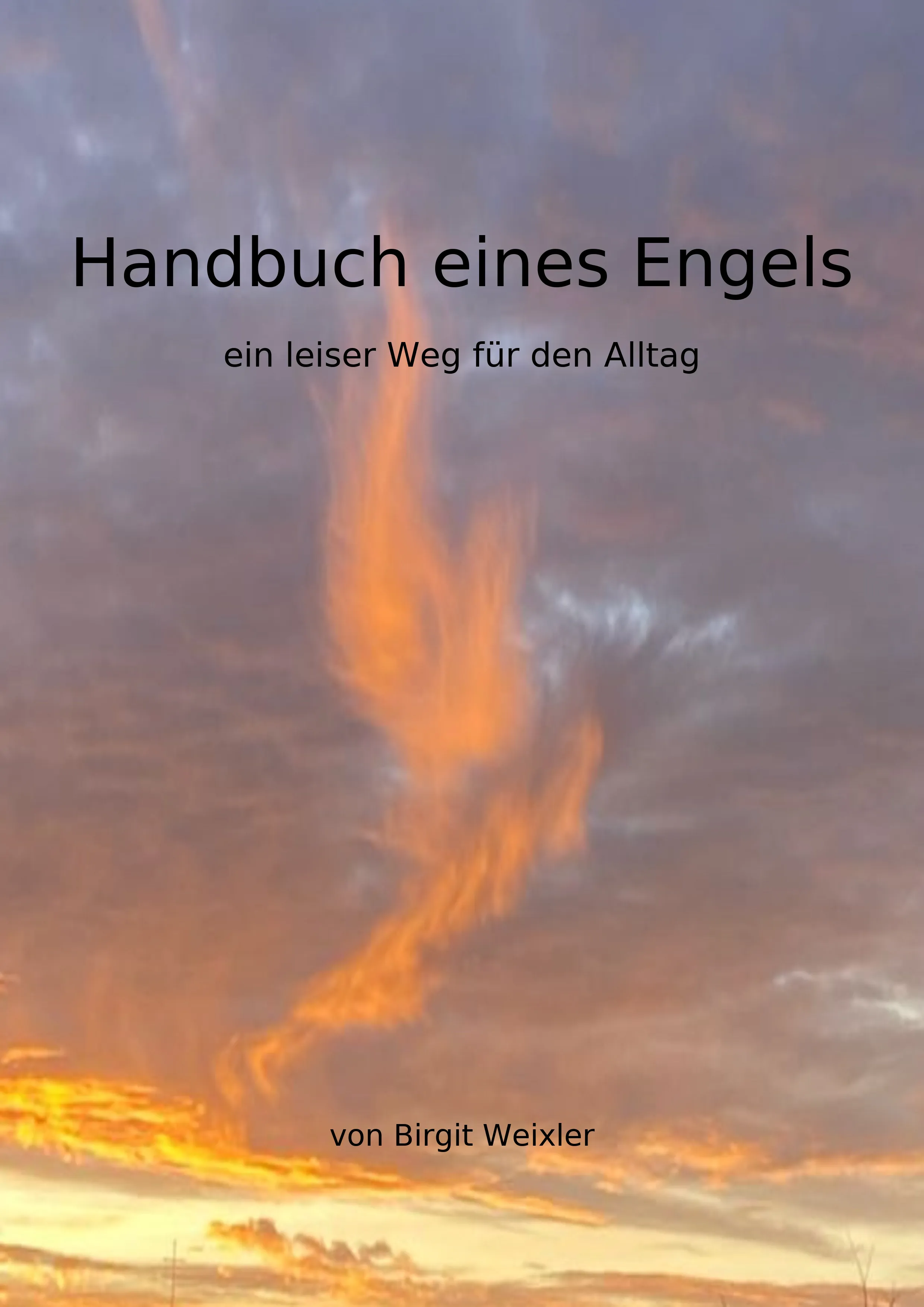 Handbuch eines Engels - Buchcover
